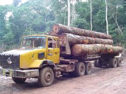 La filière bois menacée par les exportations massives vers la Chine