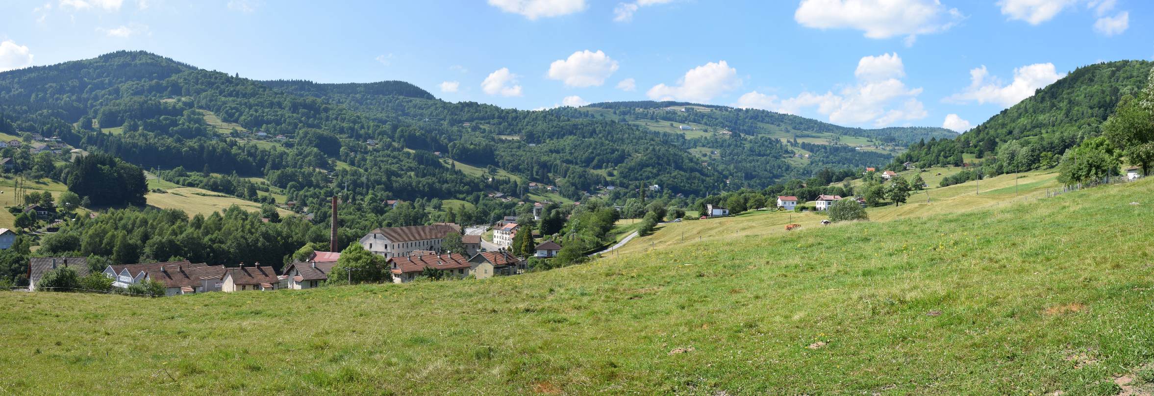 C.C Hautes Vosges : un plan de paysage pour s'adapter au changement climatique